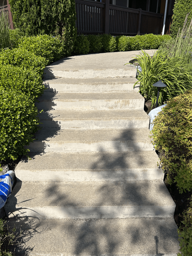 before picture of concrete stairs
